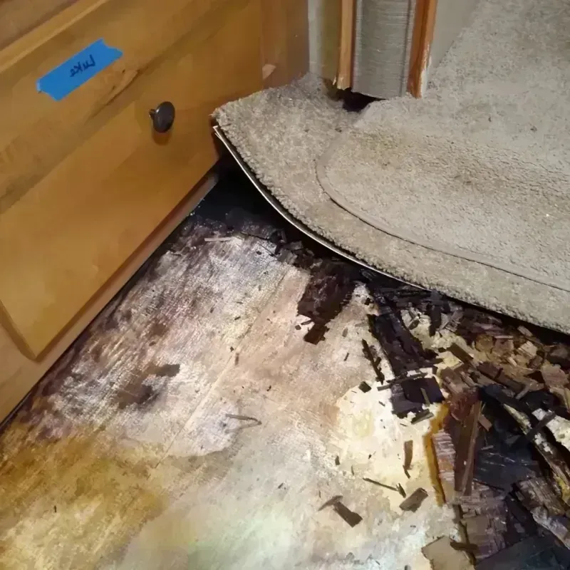 Best Wood Floor Water Damage Service in Liberty Lake, WA